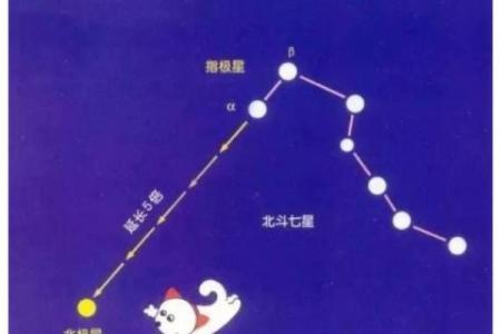怎么判断自己是不是紫薇星