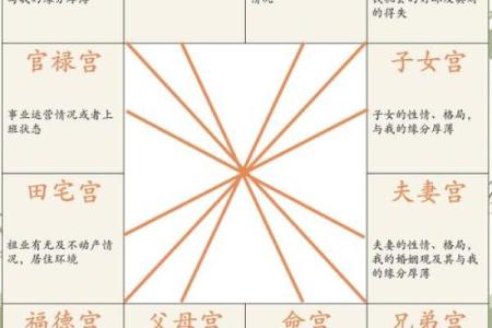 紫薇斗数看婚姻怎么样