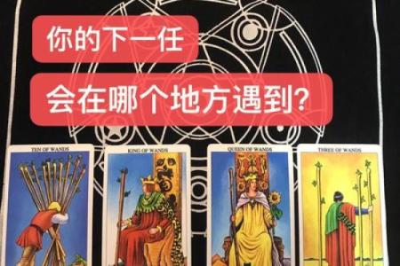 塔罗测试：看看你是哪种招黑体质？