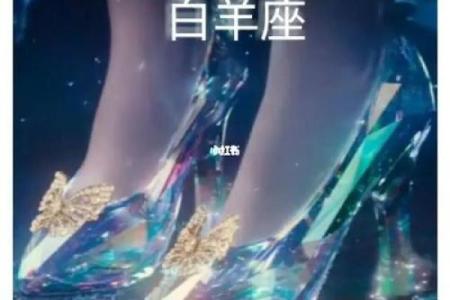 哪个星座的鞋子