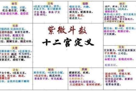 紫薇斗数旺衰