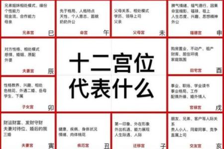 紫薇斗数四化