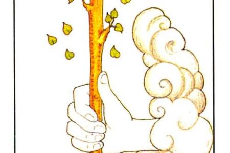 塔罗牌测试：你最不能忍受另一半什么？