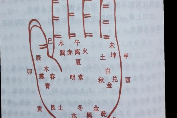 手相图解大全女 右手 算命 手掌红润柔软