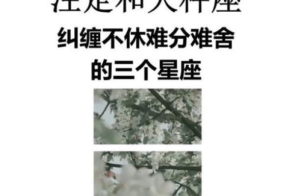 天秤座女生和哪个星座男最合适结婚