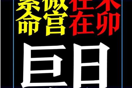 紫微斗数方外人 紫微斗数方外人同步断诀？