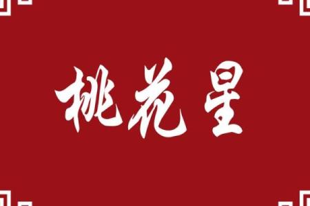 八字中什么桃花魅力最大呢