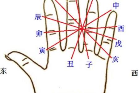八字子午相冲