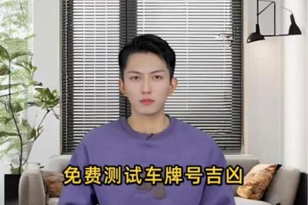 车牌号吉凶免费测试打分 车牌号吉凶测试查询免费