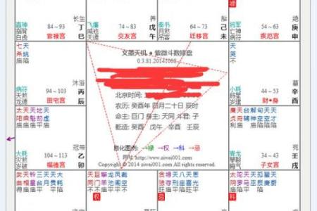 皮肤白紫薇斗数