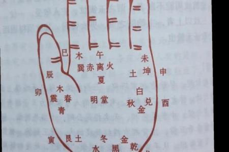 手相图解大全女 右手 算命 手掌红润柔软