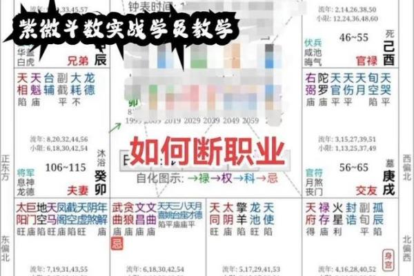 紫薇斗数测职业