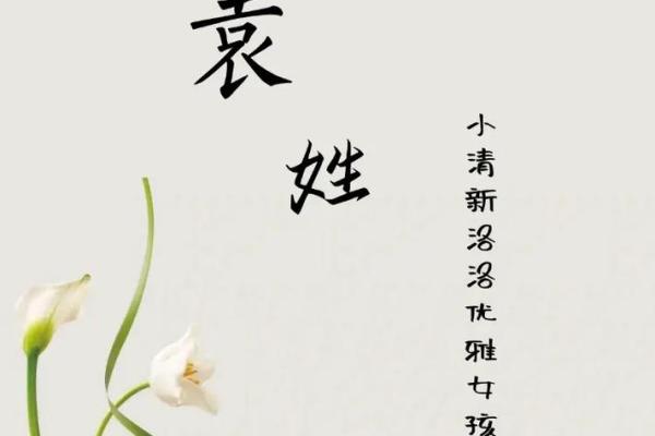 袁姓男孩名字大全-袁姓男孩起名字大全-袁姓名字大全姓名