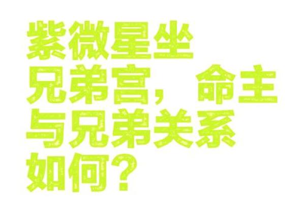 紫微斗数之兄弟宫与诸星,贪狼星在兄弟宫是什么意思？