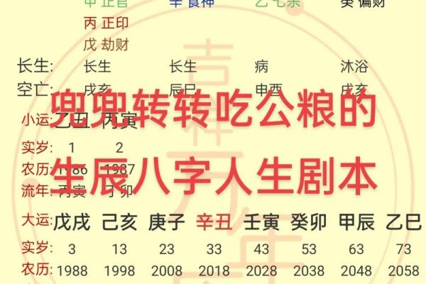 电脑算命生辰八字免费