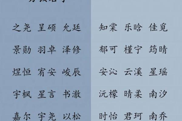 什么字给晚上9点出生的属鸡男孩取名字合适姓名