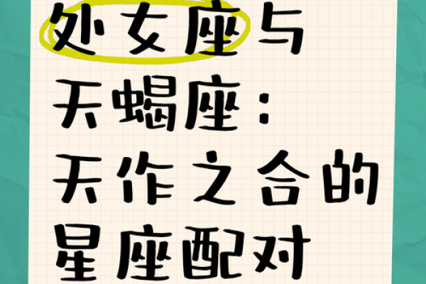 天蝎座工作上和哪个星座最合