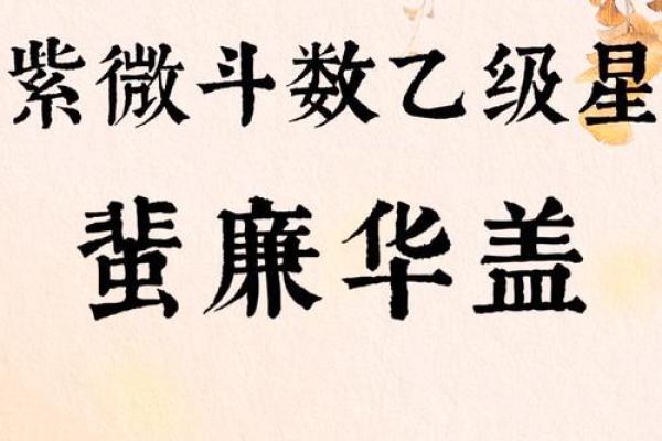 紫薇斗数胆子小