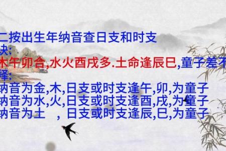 八字免费查真假童子,生辰八字怎么查童子