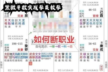 紫薇斗数测职业