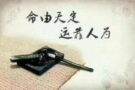 八字精明