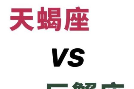 天蝎座工作上和哪个星座最合