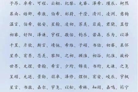 2019年5月3号子时出生的男孩应该起什么样的名字姓名