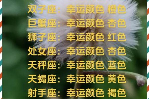 2024星座的幸运色 十二星座旺运势吉利色