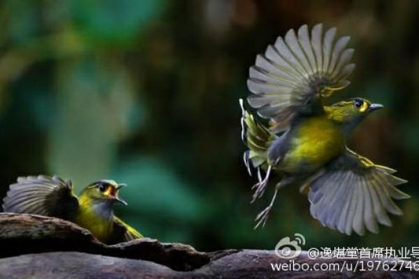 遇见心动之人，怎样从八字短语中一窥天命？