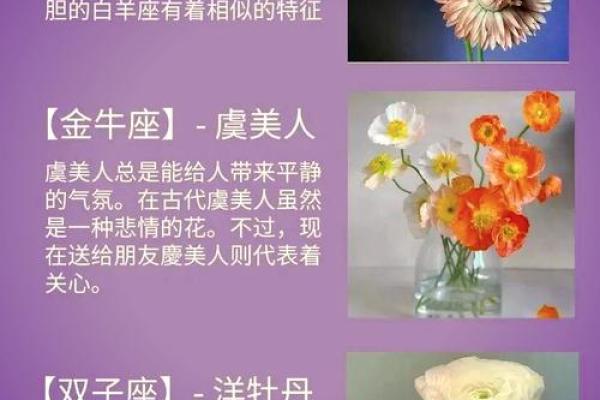 十二星座专属花卉，唯美与性格的完美契合