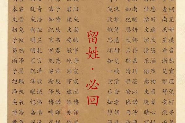 怎样给蛇辛时出生的男孩应该起名，宜用什么字姓名