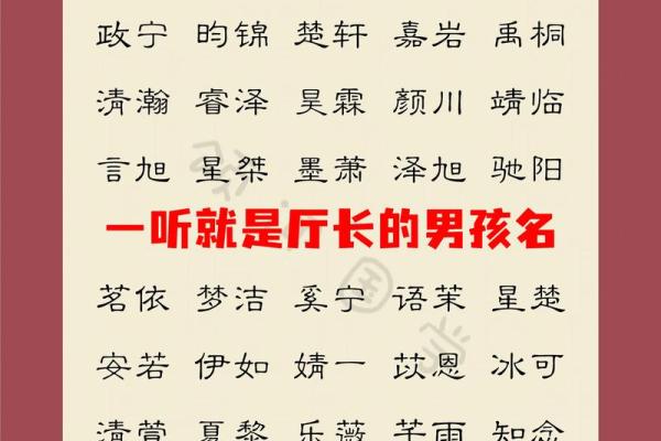怎样给蛇辛时出生的男孩应该起名，宜用什么字姓名