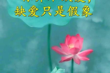 测你缺爱吗,测试缺爱吗