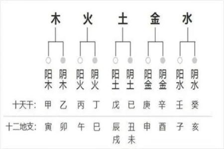 八字校准