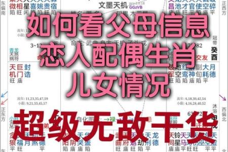 紫薇斗数配偶父母