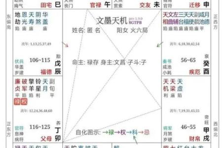 紫薇斗数的迁移