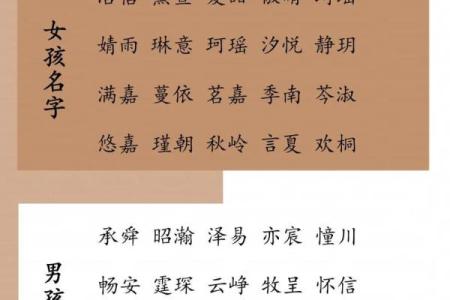 2019年3月18号子时出生的男孩应该起什么样的名字姓名