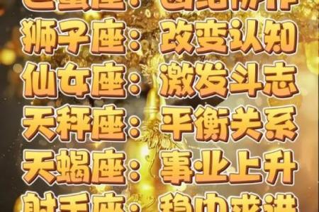 桃白柏12月星座运势