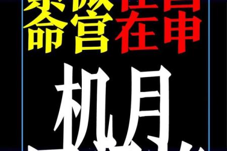成毅紫薇斗数