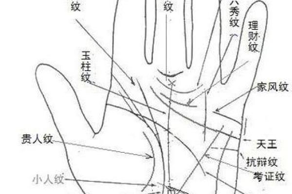 手相“影响线”算命图解 手相“影响线”算命图解