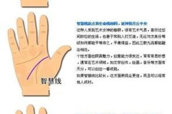 手相“影响线”算命图解 手相“影响线”算命图解