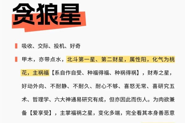 作家的紫薇斗数