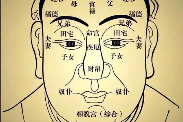 穿越开局得到算命能力 穿越开局得到算命能力