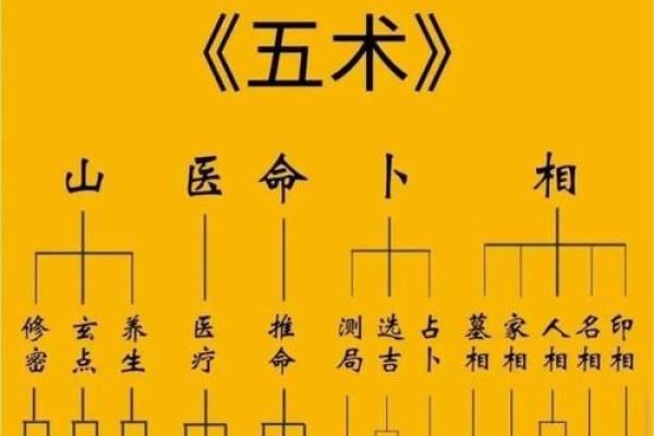 紫薇斗数相貌宫在哪