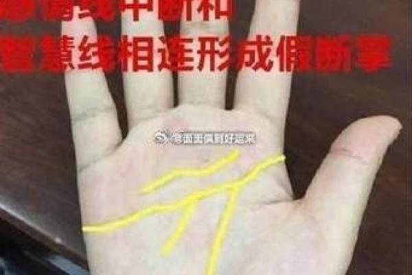 女人断掌手相算命图解