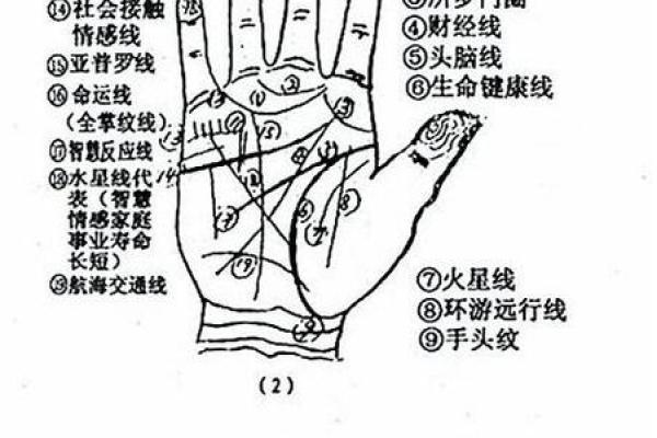 手相算命：几种重要的手纹图解