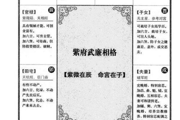 紫微斗数诸星落诸宫之，武曲星：阴金疾厄宫详解