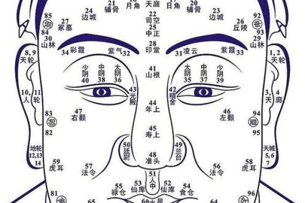 东有小山紫薇斗数 东有小山紫薇斗数