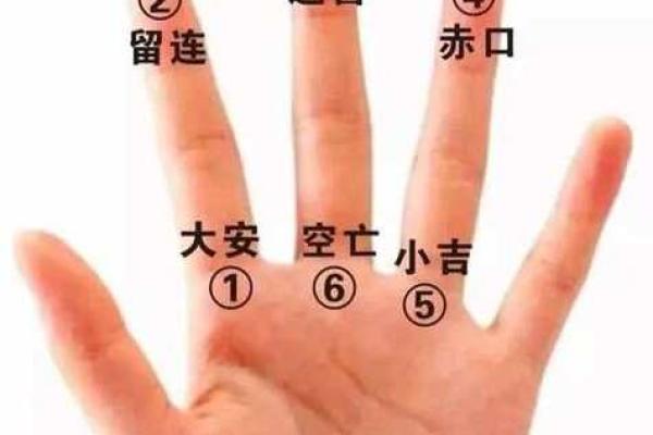 掐指一算,手指算命感情 掐指一算,手指算命感情