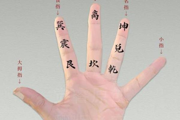 掐指一算,手指算命感情 掐指一算,手指算命感情